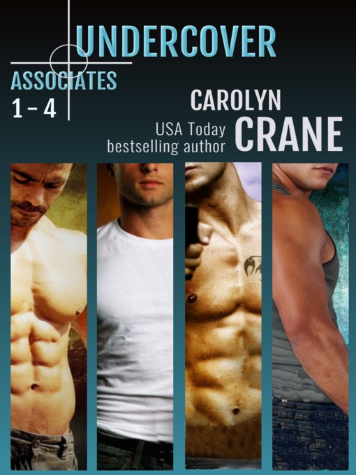 Cover image for Undercover Associates fabulous four-pack